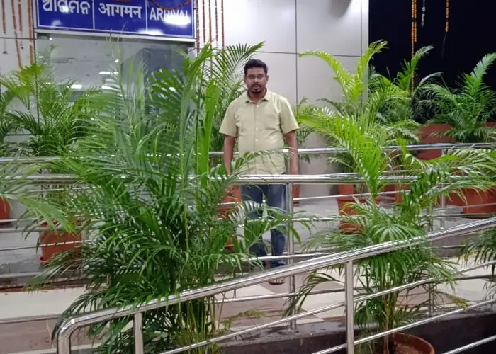 Garden Maintenance