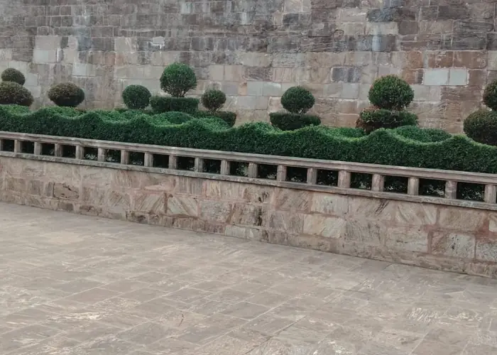 Balcony Gardening